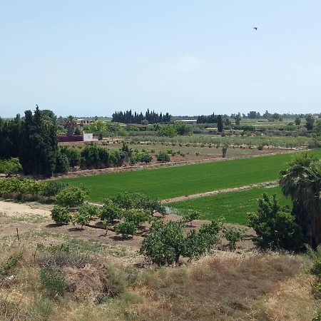 L'Hortet del iaio Camarles Esterno foto