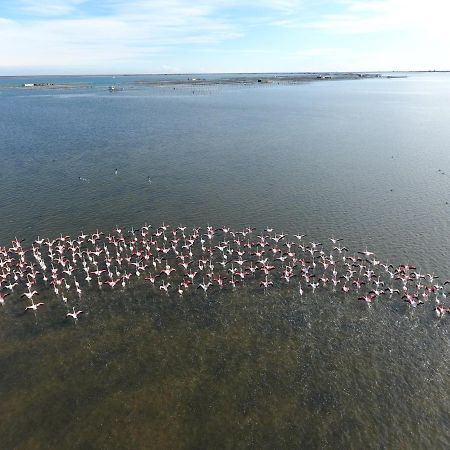 L'Hortet del iaio Camarles Esterno foto